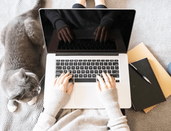 online earning by writing
