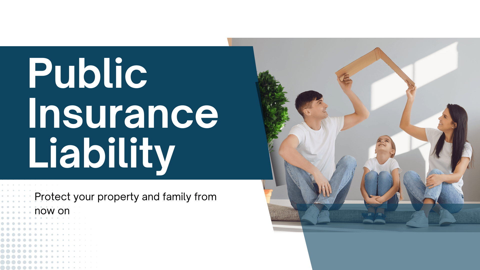 Public Insurance Liability