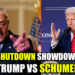 government shutdown