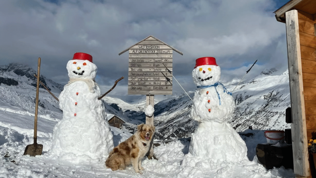 Alps Snow in Summer: The Fractured White Crown of Climate Change