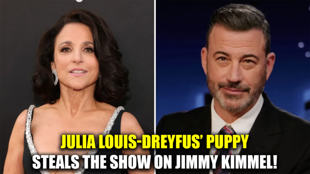 Julia Louis-Dreyfus: MCU Secrets and Veep Revival