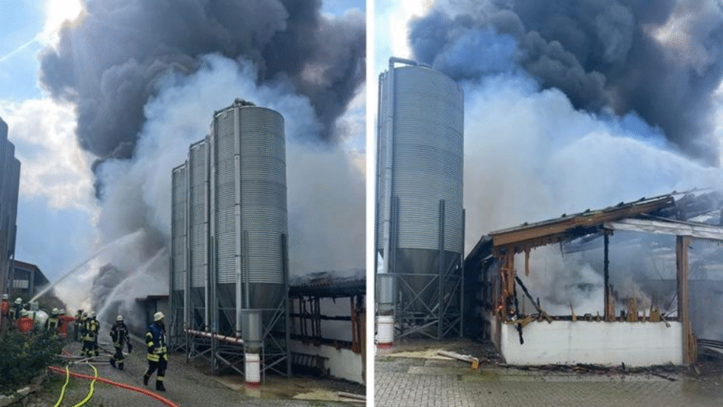 Freiburg Industrial Fire Chaos: Massive Damage and Stuttgart Airport Disruptions
