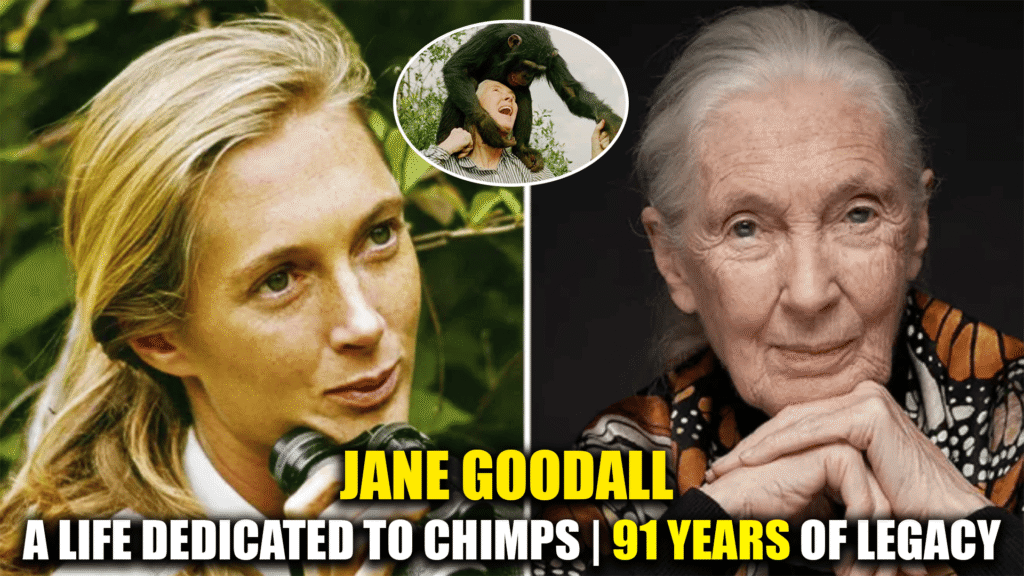Jane Goodall: Legacy of Compassion and Discovery