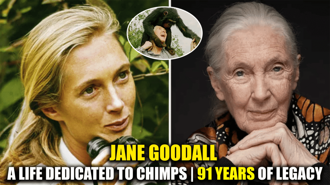 Jane Goodall: Legacy of Compassion and Discovery