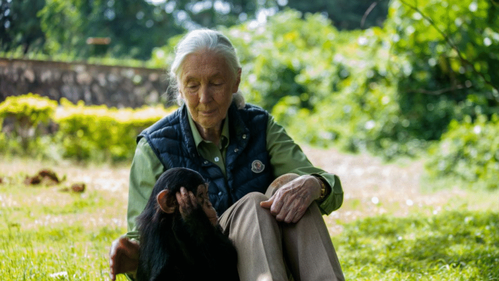 Jane Goodall: Legacy of Compassion and Discovery